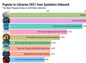 Top Syndetics Unbound Titles of 2021