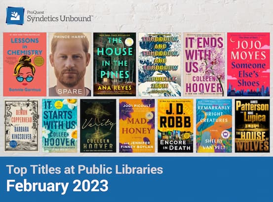 Top Titles at Public Libraries - February 2023