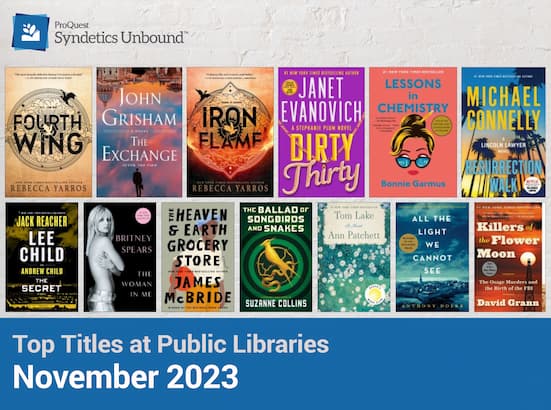 Top Titles at Public Libraries - November 2023